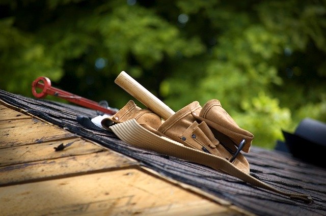 professionnel-construction-bois-eco-construction